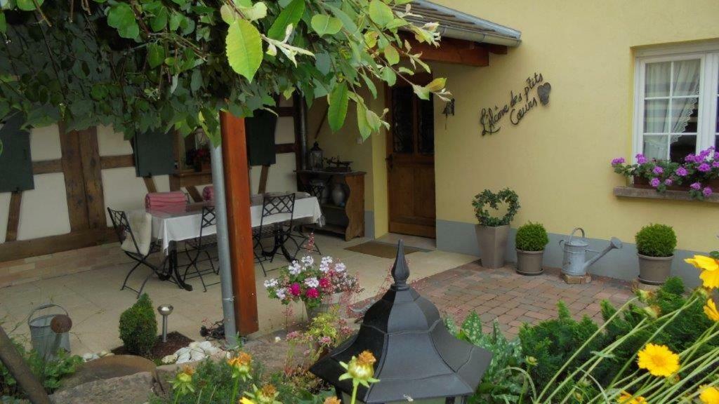 Villa L'Alcove Des P'Tits Coeurs Benfeld Exterior foto
